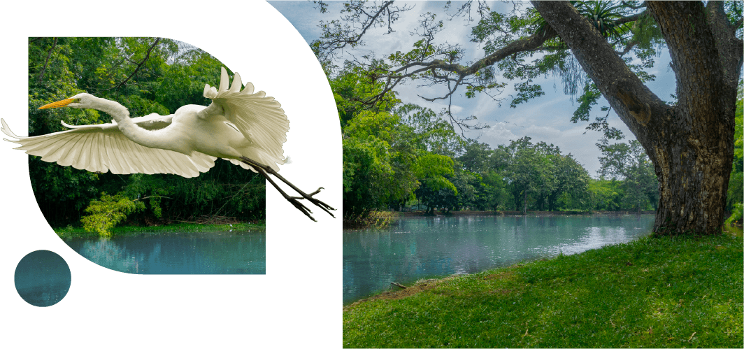 ¿CUÁNDO FUE LA ÚLTIMA VEZ QUE SENTISTE LA NATURALEZA EN SU ESTADO MÁS PURO?